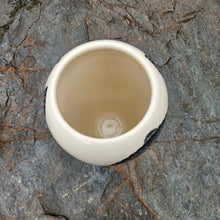 Load image into Gallery viewer, Ammonoid vase