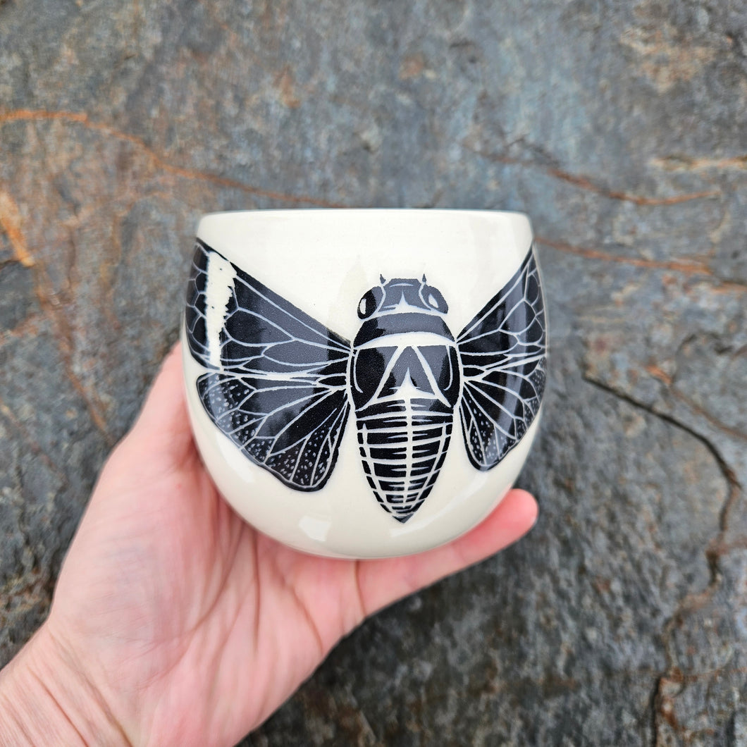 Cicada cup