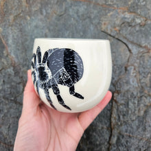 Load image into Gallery viewer, Tarantula cup
