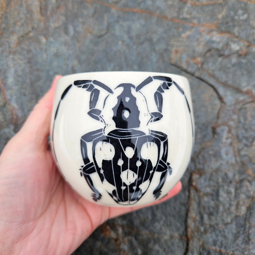 Longhorn beetle cup