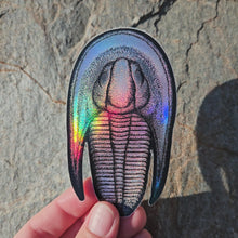 Load and play video in Gallery viewer, Trilobite sticker
