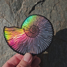Load and play video in Gallery viewer, Ammonite sticker
