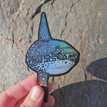Load and play video in Gallery viewer, Sunfish sticker

