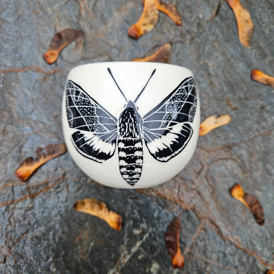 Hawk moth cup, medium