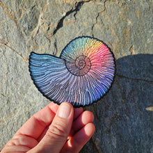Load image into Gallery viewer, Ammonite sticker
