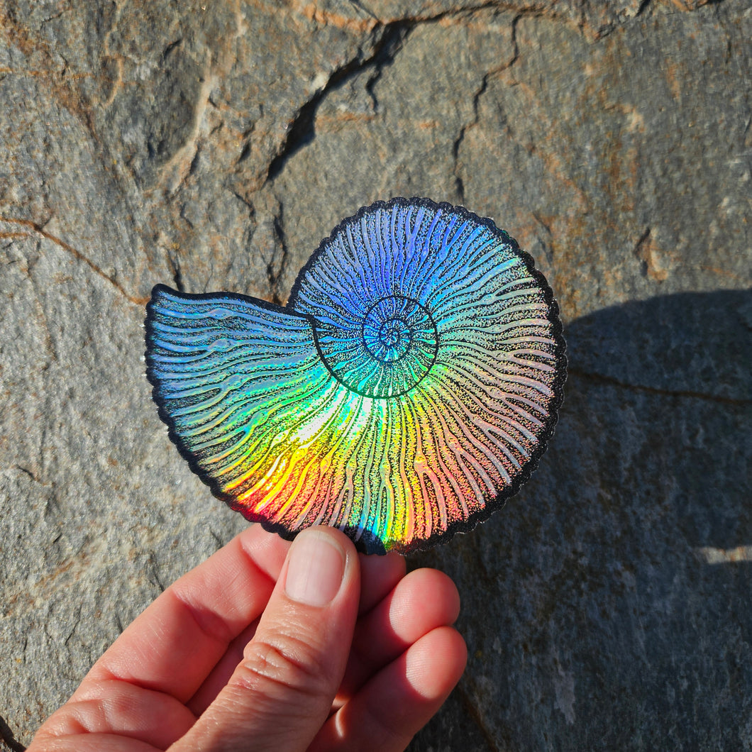 Ammonite sticker
