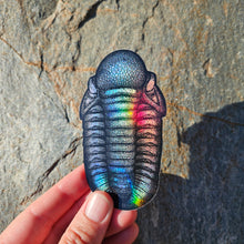 Load image into Gallery viewer, Trilobite sticker
