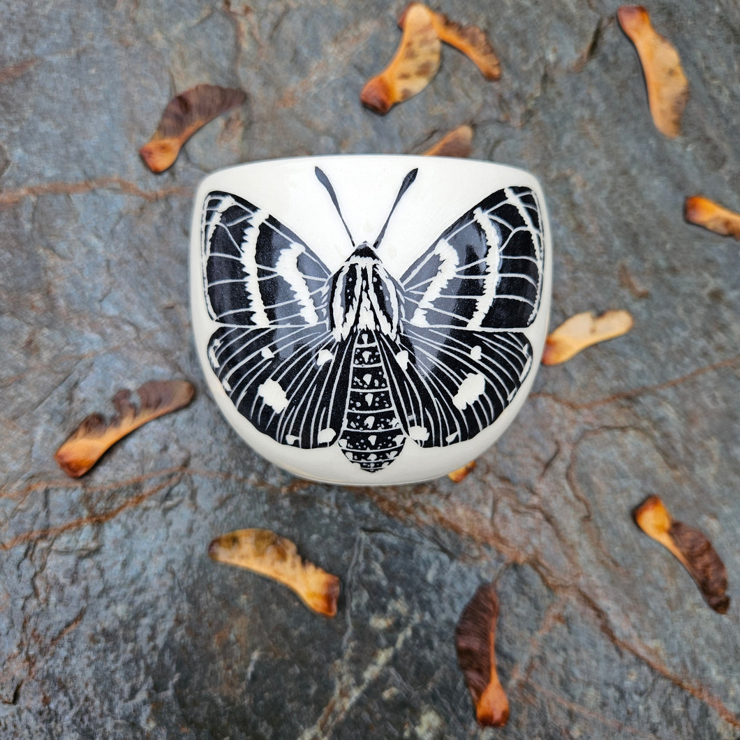 Tiger moth cup, medium