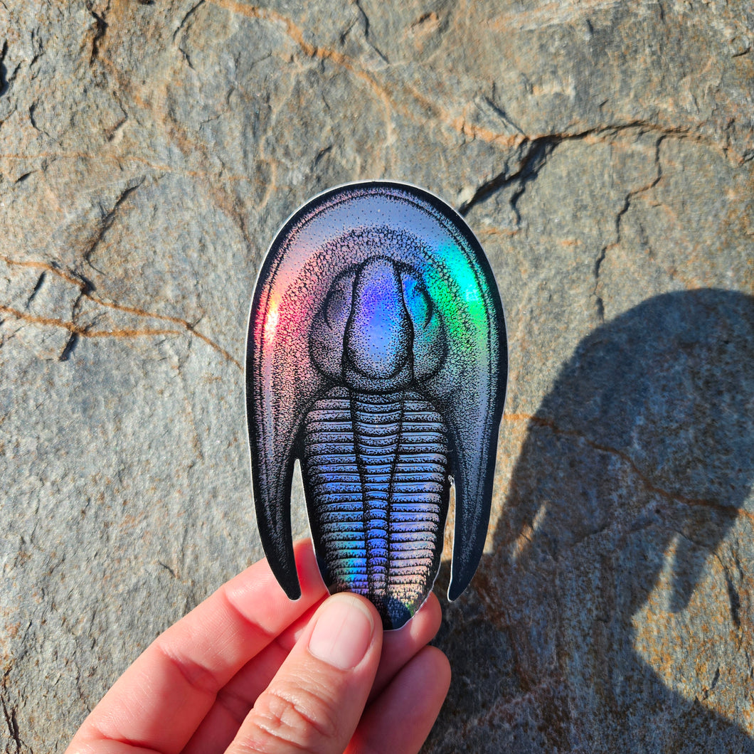 Trilobite sticker