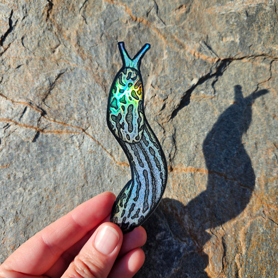 Leopard slug sticker