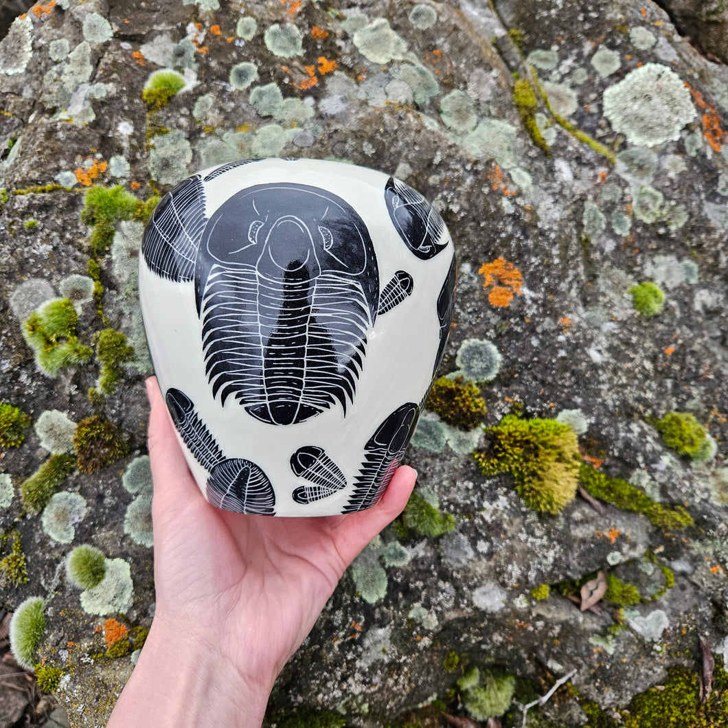 Trilobite vase