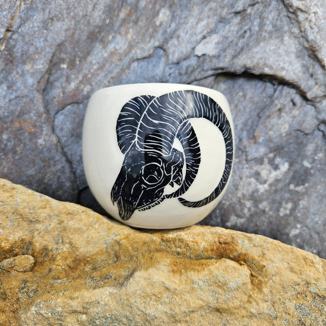 Sheep skull cup, medium