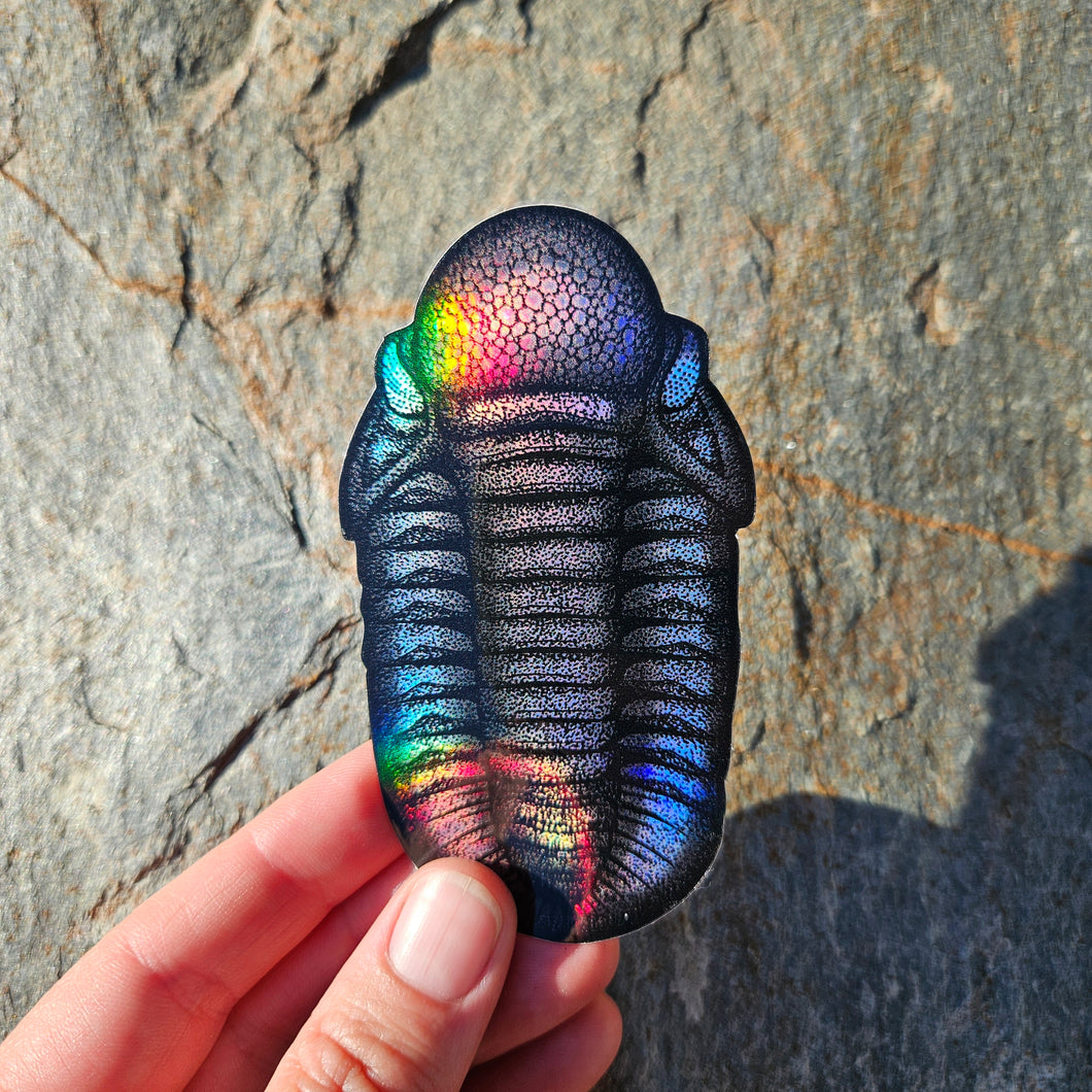 Trilobite sticker